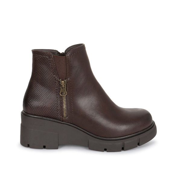 Botin Chelsea Casual Cafe Adv - Mod. 8523